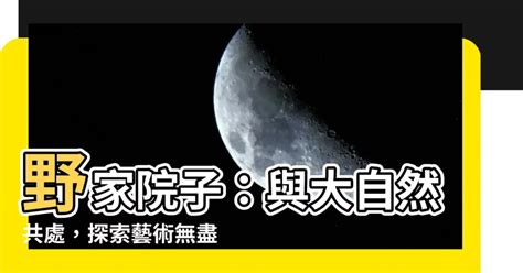 野家院子 轉大運變化